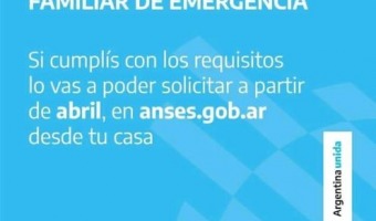 EL INGRESO FAMILIAR DE EMERGENCIA QUED OFICIALIZADO PARA SU IMPLEMENTACIN POR EL GOBIERNO NACIONAL